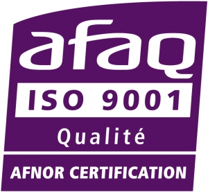 MECAM Prototypes - Logo certification AFAQ ISO 9001.jpg